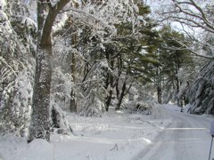 PC280044.JPG