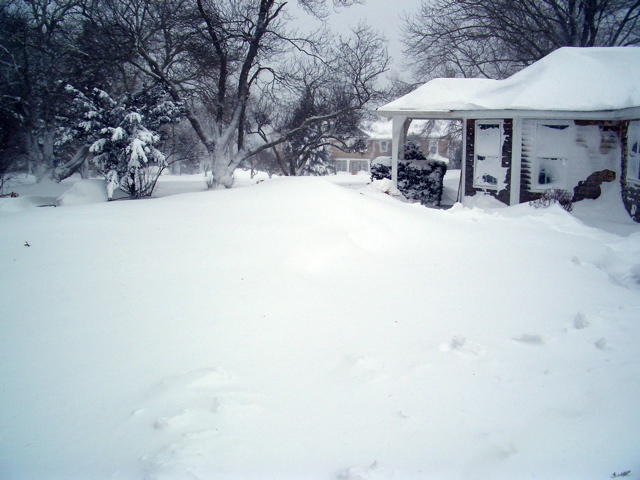 Guest house-Buried !