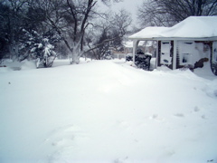 Guest house-Buried !