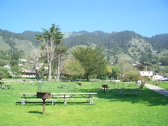 CIMG0918.JPG