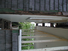 P6090046