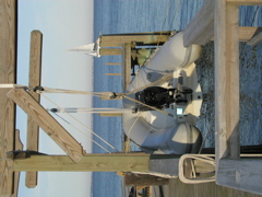 P9090317
