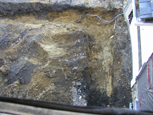 PA210730